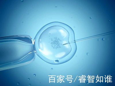 赵主任